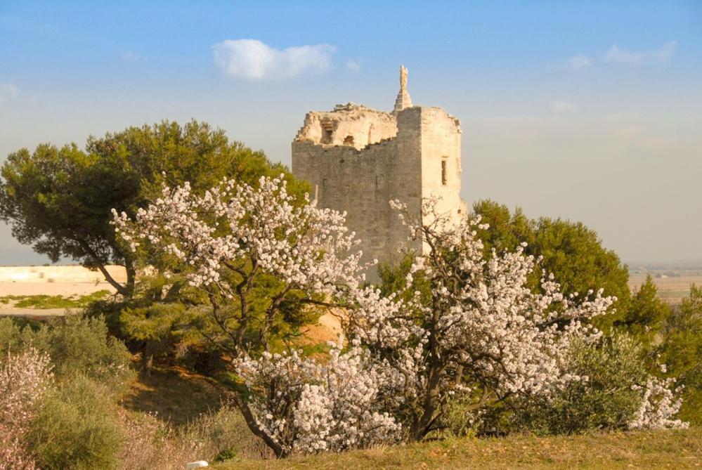 La Maison Du Paradis Bellegarde  Dış mekan fotoğraf
